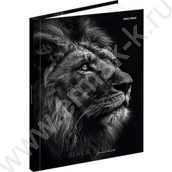 Зап. книжка  80л А5 тв.обл. "Фотопортрет льва" /глянец/ | Фото 1