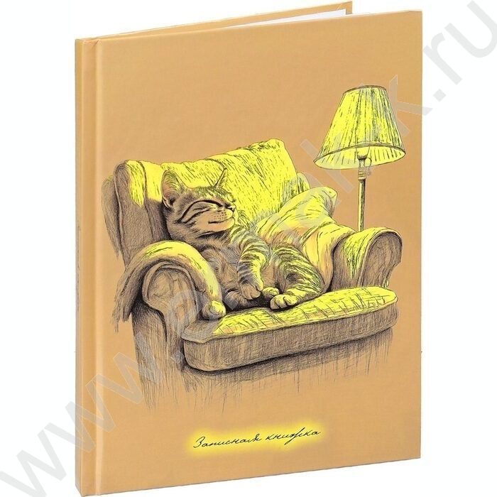 Зап. книжка  80л А5 тв.обл. "Уютный котик-2" /глянец/ | Фото 1