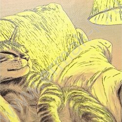Зап. книжка  80л А5 тв.обл. "Уютный котик-2" /глянец/ | Фото 5