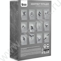 Тетрадь предметная 48л Набор 12шт "ЖИДКИЙ МЕТАЛЛ" /мел. карт., твин-лак | Фото 2