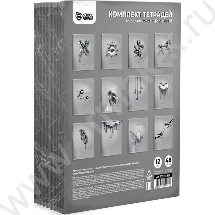 Тетрадь предметная 48л Набор 12шт "ЖИДКИЙ МЕТАЛЛ" /мел. карт., твин-лак | Фото 2
