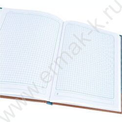 Бизнес-блокнот 120л А5 тв.обл "Рабочее пространство-3" /глянец/ | Фото 3