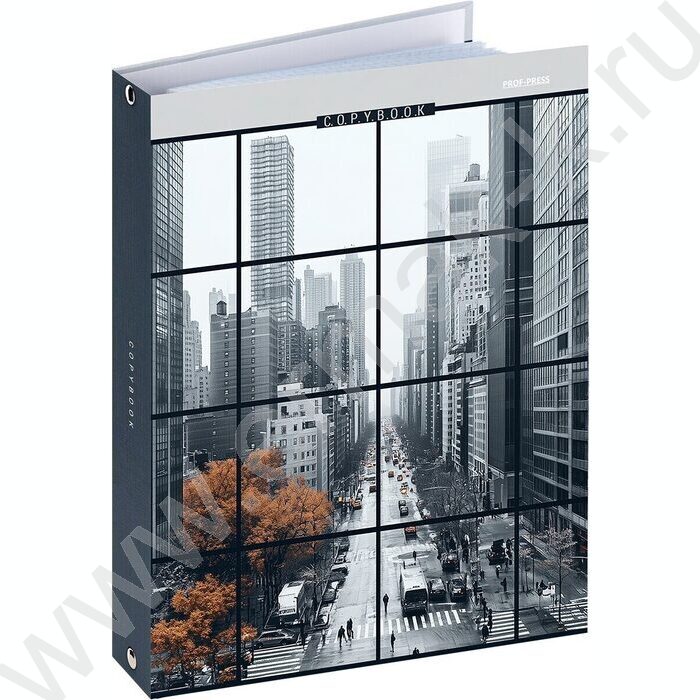 Тетрадь  80л клетка/кольца "Вид на мегаполис" /глянец/лён | Фото 1