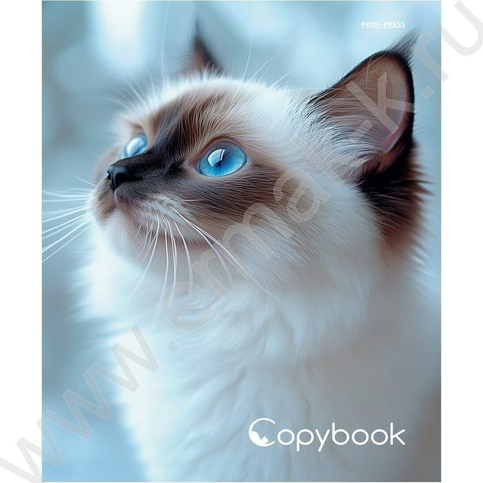 Тетрадь  80л клетка/кольца "Голубоглазая кошка" /глянец/лён | Фото 2