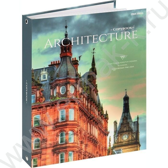 Тетрадь 100л клетка/кольца "Красивая архитектура-6" | Фото 1