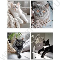 Тетрадь  96л клетка "Разные домашние коты" ассорти | Фото 1