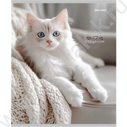Тетрадь  96л клетка "Разные домашние коты" ассорти | Фото 2
