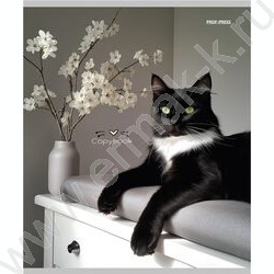 Тетрадь  96л клетка "Разные домашние коты" ассорти | Фото 5