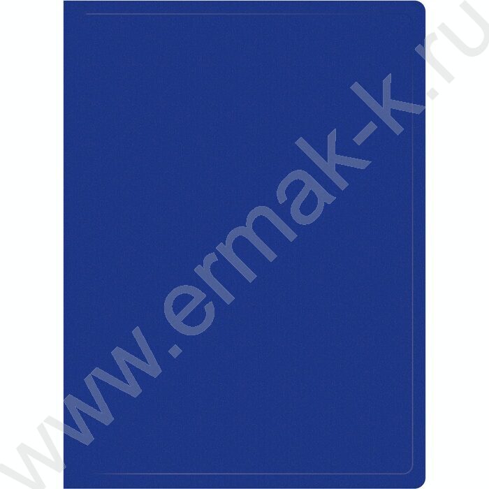 Папка  10 файлов синяя /пластик 0.5мм | Фото 1