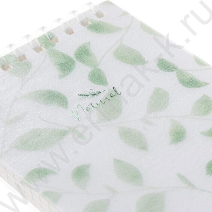 Блокнот  80л А6 спираль/пластик обл. "NATURAL LEAVES" тониров.блок,клетка | Фото 4