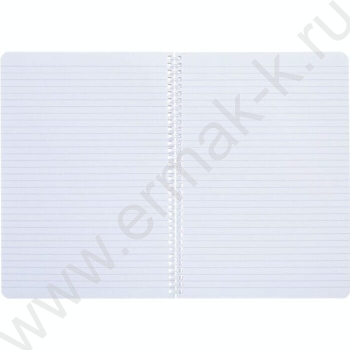 Тетрадь  80л А4 линейка /спираль /перфорация на отрыв/ "Drops" | Фото 3