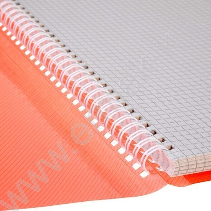 Тетрадь-папка  80л А4 клетка/спираль с клапанами на резинке/пл.обл. "Красная" | Фото 6