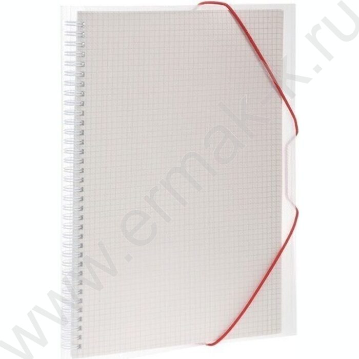 Тетрадь-папка  80л А4 клетка/спираль с клапанами на резинке/пл.обл. "Белая" | Фото 1