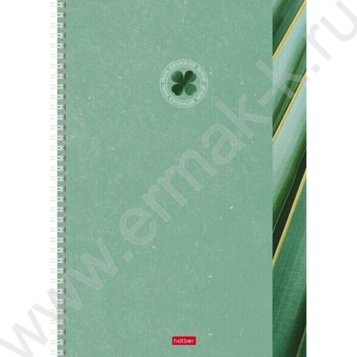 Тетрадь  96л А4 линейка/спираль/перфорация на отрыв "Вдохновение вокруг" 2вида | Фото 2