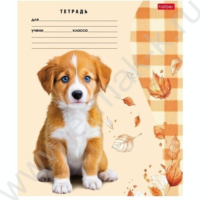 Тетрадь  24л линейка "Милые носики" 5видов | Фото 1