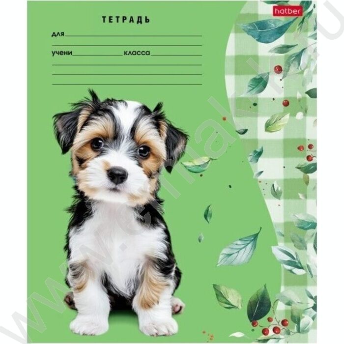 Тетрадь  24л линейка "Милые носики" 5видов | Фото 2