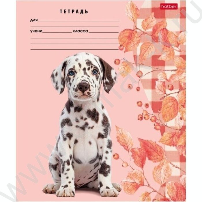 Тетрадь  24л линейка "Милые носики" 5видов | Фото 4