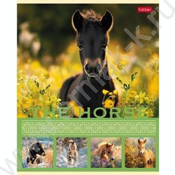 Тетрадь  40л клетка "The Horse" ассорти | Фото 4