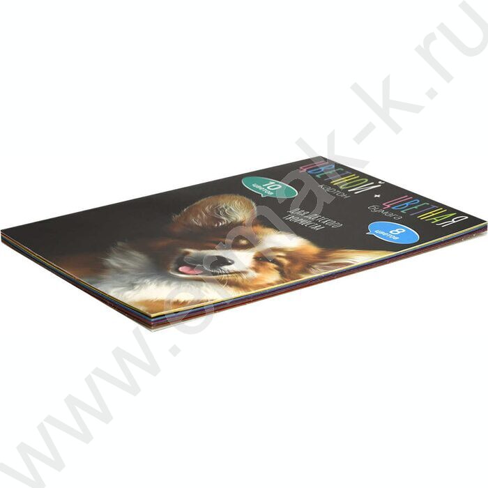 Картон цв+бум.цв А4 26л 10цв/ 8цв "Весёлый корги" блок - газетная бумага, мелованный картон с | Фото 2