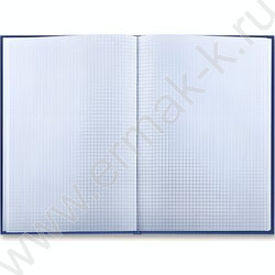 Книга Учёта 160л клетка б/вин, офсет, наклейка | Фото 2