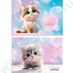 Альбом д/рисования-спираль 40л "Нежные котики" | Фото 1