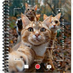 Зап. книжка  80л А6 спираль "Котики в объективе камеры" | Фото 2