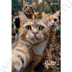 Зап. книжка 160л А5 тв.обл. "Фотография котиков" /глянец/ | Фото 1