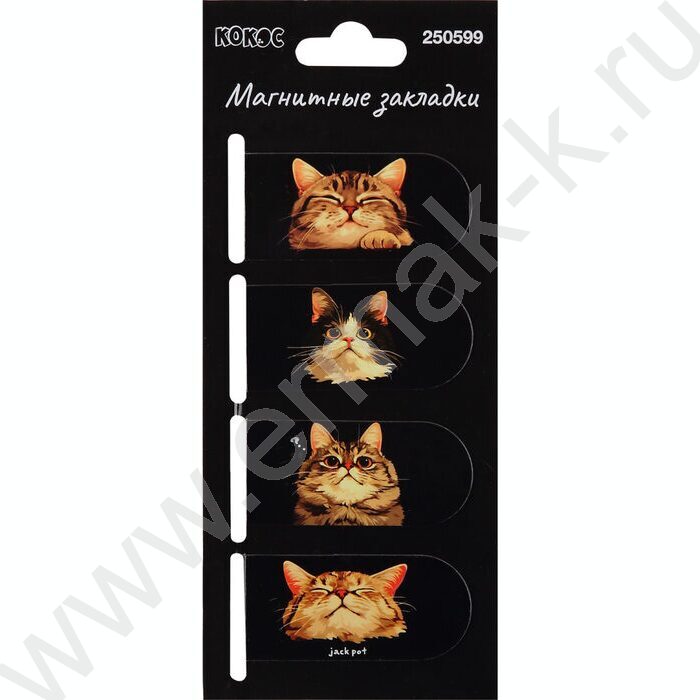 Закладки магнитные "Котики" набор 4шт | Фото 1