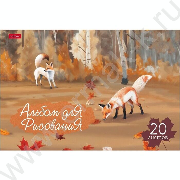 Альбом д/рисования 20л "Рыжие лисички" /мат ламин,тиснение/ 5видов | Фото 4