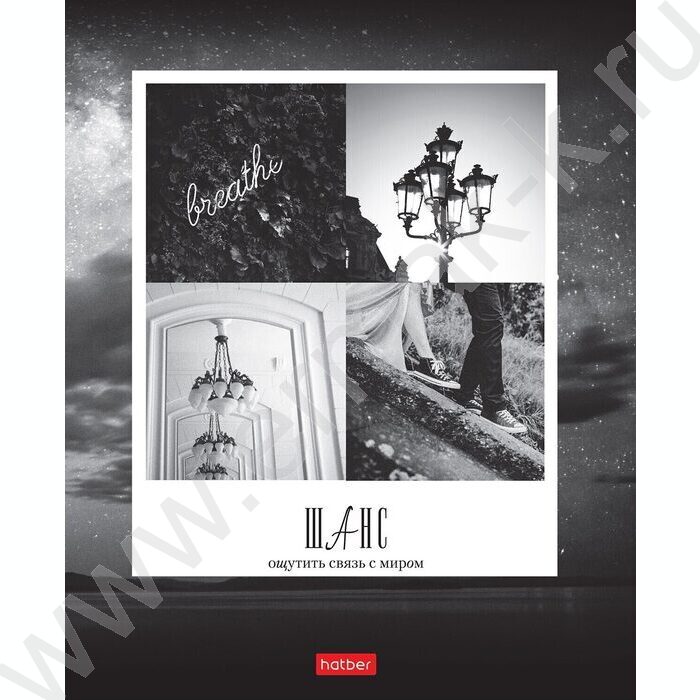 Тетрадь  96л клетка/пластик обл. "Моменты путешествий" ассорти | Фото 3