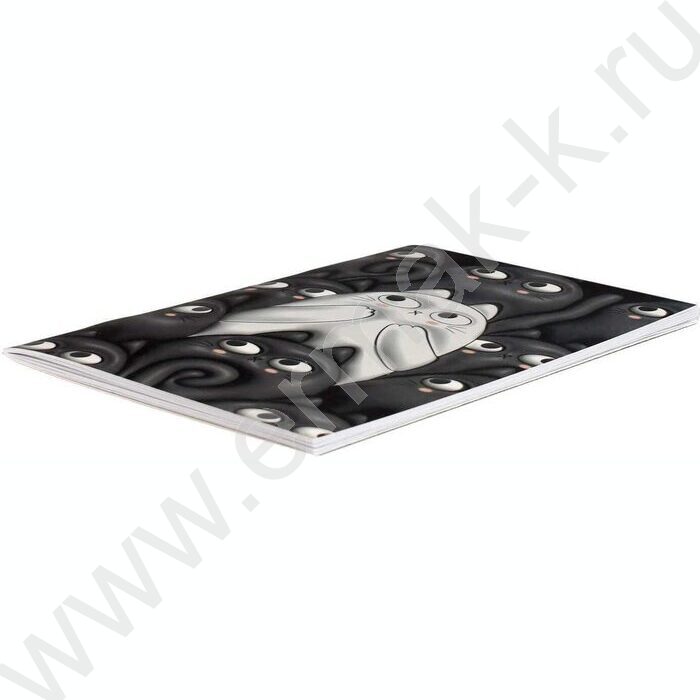 Раскраска 215*215 Картины по номерам.Нежность | Фото 2