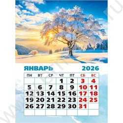 Календарь на магните отрывной 2026г "Природа" NEW | Фото 1