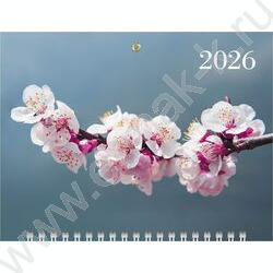 Календарь квартальный на 3-х гребнях/3месяца/ 2026г мини "Цветущая сакура" NEW | Фото 2