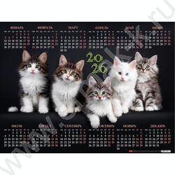 Календарь настенный листовой А2 60*45см 2026г "Котосессия" /c укрупненной сеткой NEW | Фото 1
