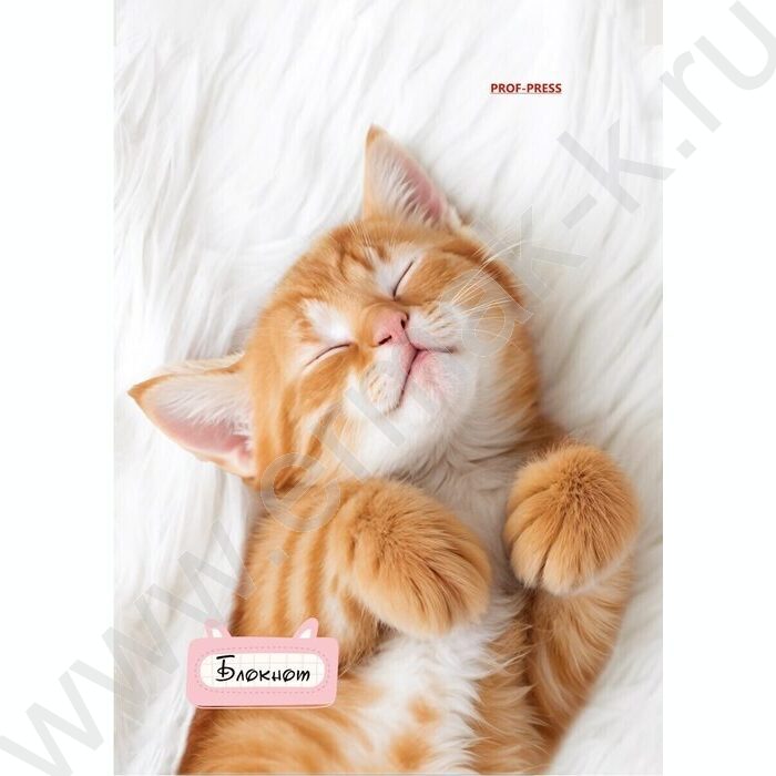 Блокнот  24л А6 "Милые котята-1" ассорти | Фото 4