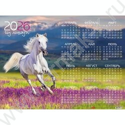 Календарь настенный листовой А2 60*45см 2026г "Год Лошади" /c укрупненной сеткой NEW | Фото 1