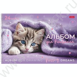 Альбом д/рисования-спираль пл.об. 24л "Нежные мечты" ассорти NEW | Фото 1