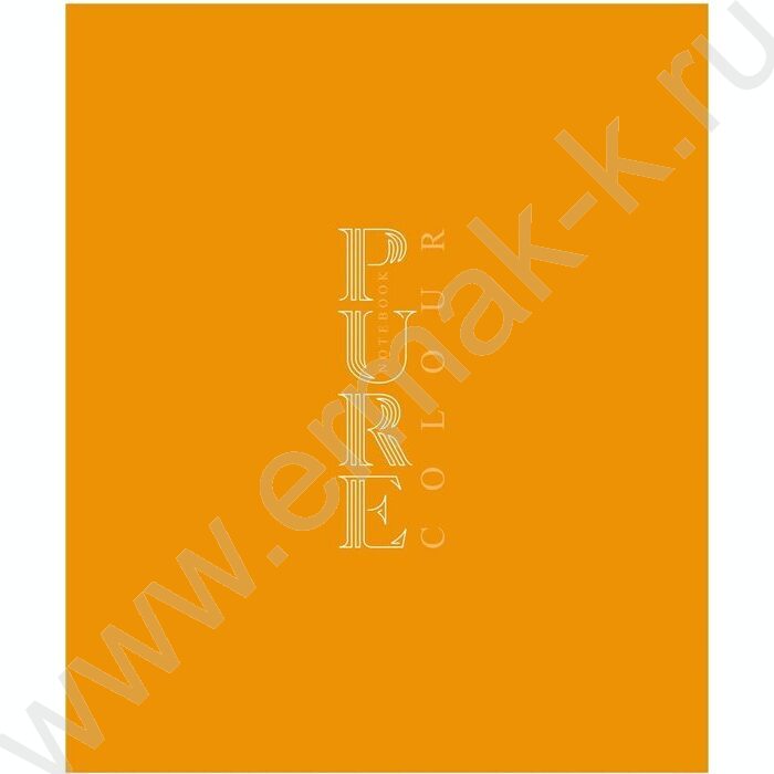 Тетрадь  48л клетка "PUREcolour" 5видов | Фото 4