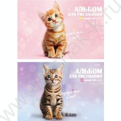 Альбом д/рисования 12л "Милые котики-4" ассорти NEW | Фото 1