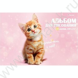 Альбом д/рисования 12л "Милые котики-4" ассорти NEW | Фото 2