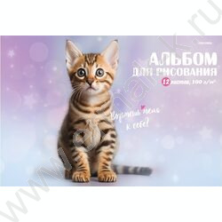 Альбом д/рисования 12л "Милые котики-4" ассорти NEW | Фото 4