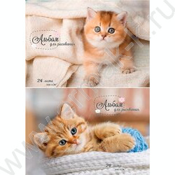 Альбом д/рисования 24л "Рыжие котики-1" ассорти NEW | Фото 1