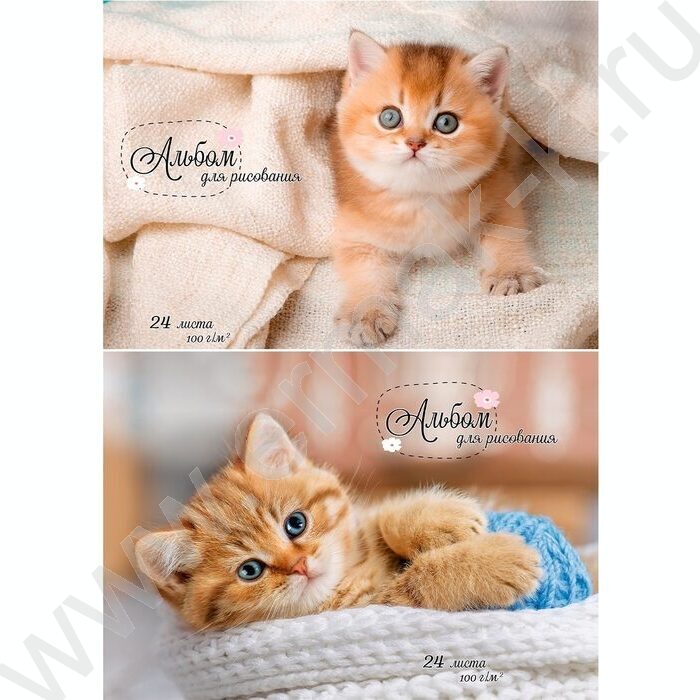 Альбом д/рисования 24л "Рыжие котики-1" ассорти | Фото 1