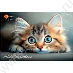 Альбом д/рисования 24л "Котёнок-2" ассорти NEW | Фото 1