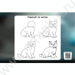 Альбом д/рисования 24л "Котёнок-2" ассорти NEW | Фото 3