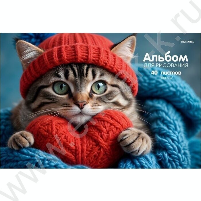 Альбом д/рисования 40л "Кот в шапке" ассорти | Фото 1