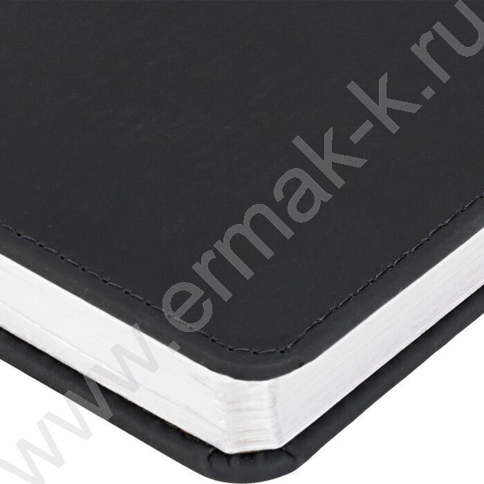 Ежедневник н/дат А6+ 136л Sidney Nebraska черный/серебряный обрез,ляссе,линейка | Фото 4