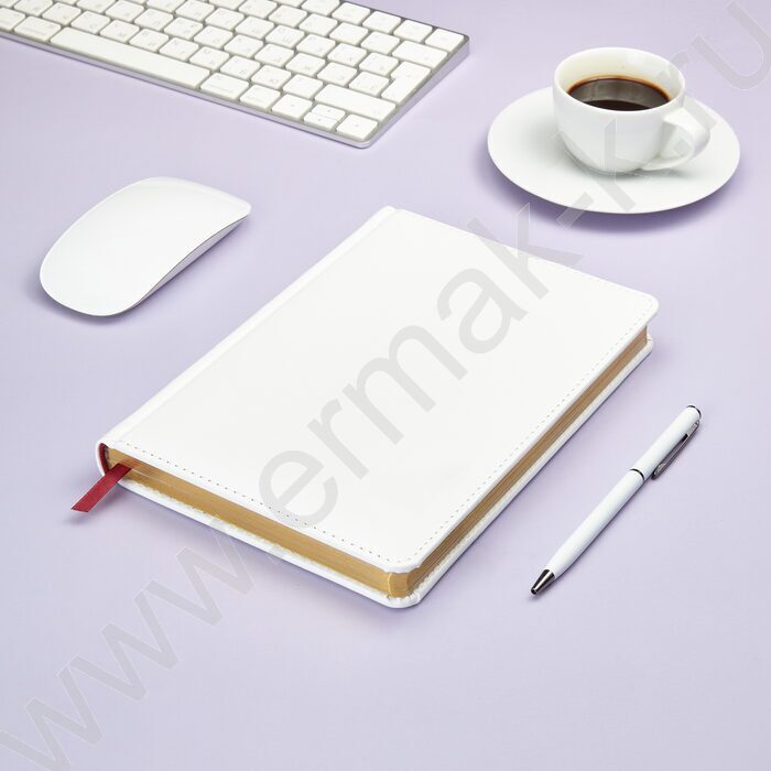 Ежедневник н/дат А5 136л Sidney Nebraska белый/золотой обрез,ляссе,линейка | Фото 4