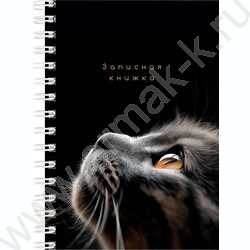 Зап. книжка  80л А6 спираль "Взгляды котиков" ассорти NEW | Фото 3