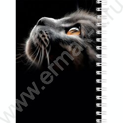 Зап. книжка  80л А6 спираль "Взгляды котиков" ассорти NEW | Фото 4